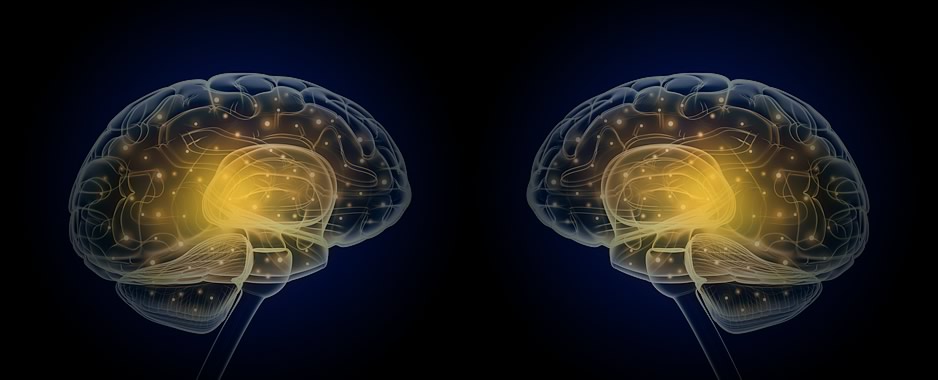 Rechter hersenhelft lijkt langzamer te verouderen dan de linker hersenhelft - Praktijk Mental Balance
